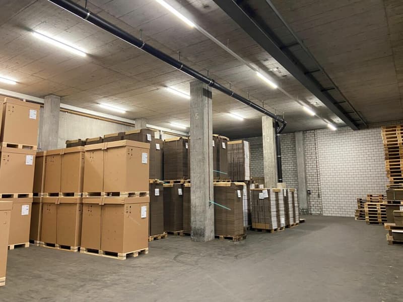 Viel Raum für Ihr Gewerbe - Lagerhalle mit Aufzug & Rampe (5)
