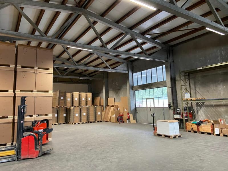 Viel Raum für Ihr Gewerbe - Lagerhalle mit Aufzug & Rampe (2)