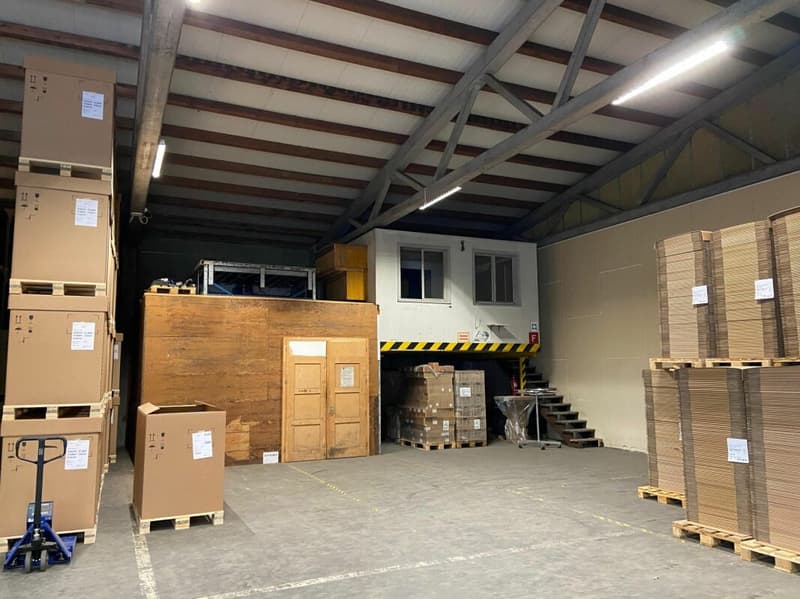 Viel Raum für Ihr Gewerbe - Lagerhalle mit Aufzug & Rampe (3)