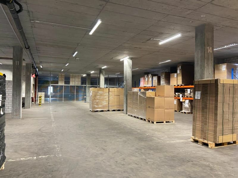 Viel Raum für Ihr Gewerbe - Lagerhalle mit Aufzug & Rampe (7)
