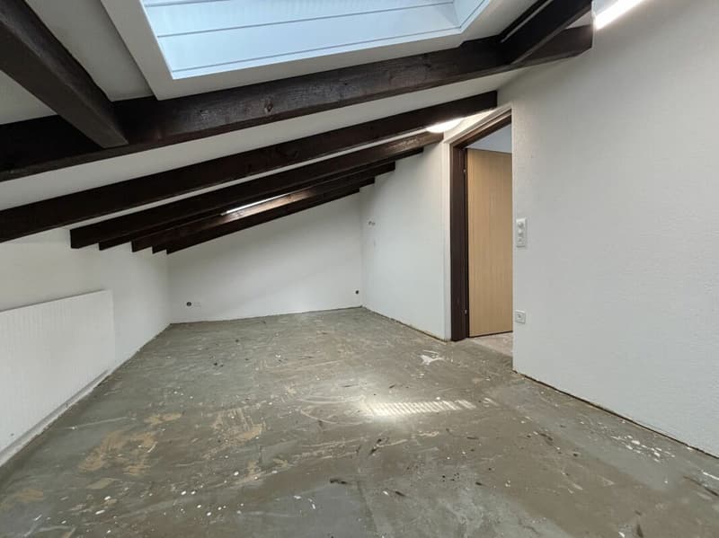 Exklusives 5.5 Zimmer Reihen-Einfamilienhaus direkt am See (17)