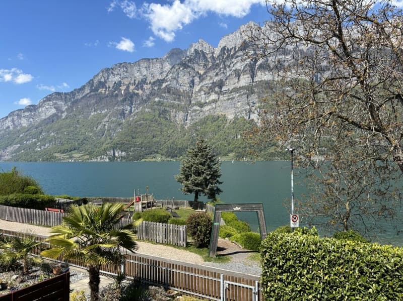 Exklusives 5.5 Zimmer Reihen-Einfamilienhaus direkt am See (1)