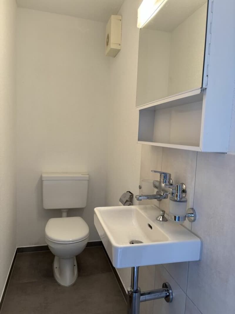 Exklusives 5.5 Zimmer Reihen-Einfamilienhaus direkt am See (9)