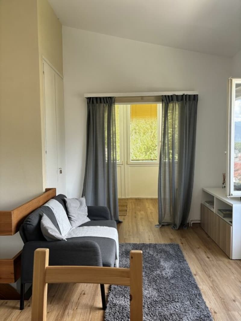 Charmantes 3.5 Zi.-Ferienhaus mit Bergsicht & Garten - nah am Golfplatz (9)