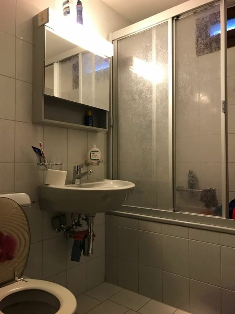 2.5 Zimmerwohnung im Erdgeschoss an ruhiger Lage (5)