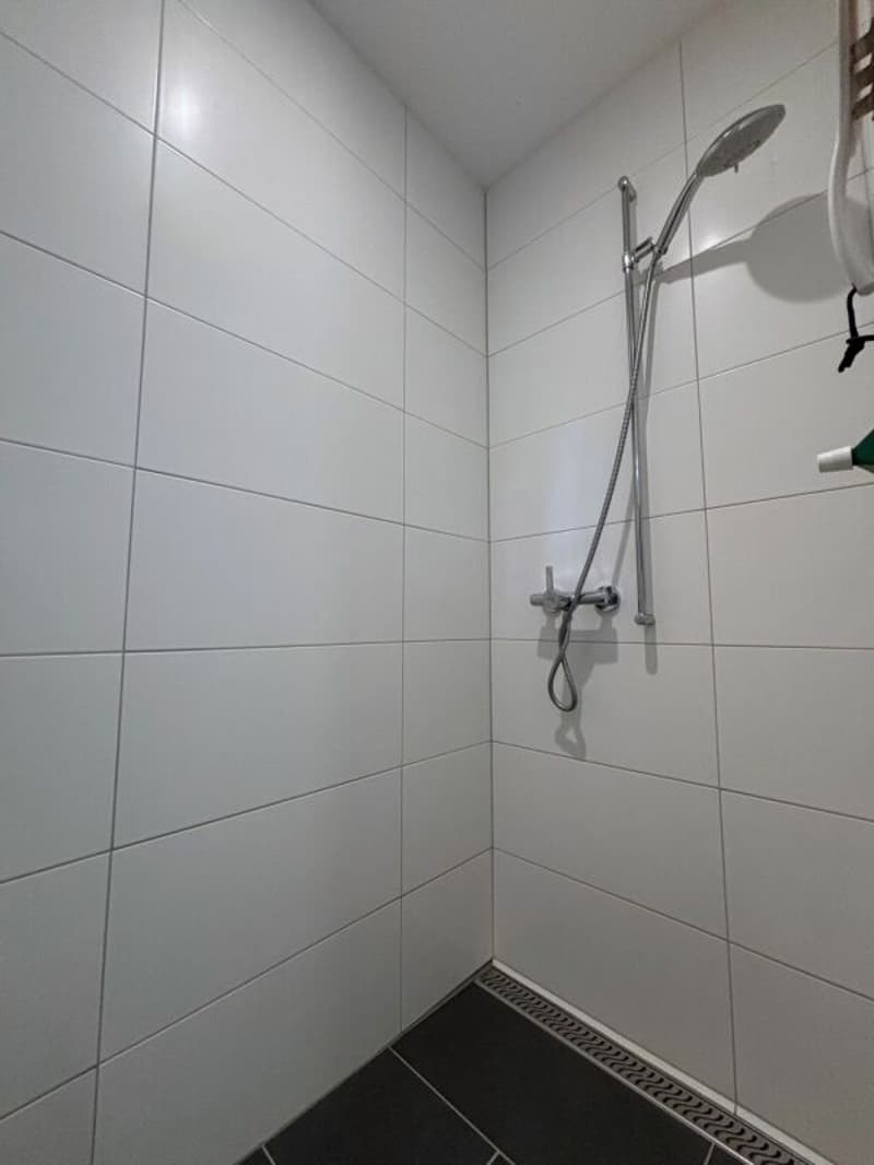 Attraktives 6.5 Zimmer-Doppeleinfamilienhaus mit Garten und Aussicht (20)