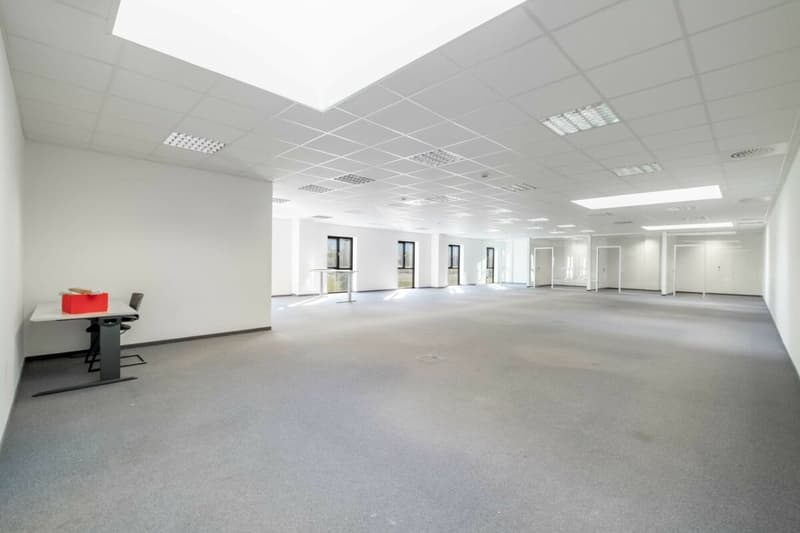 Attraktive Büroräumlichkeiten ab 250 m2 - hell, modern und zentral (5)
