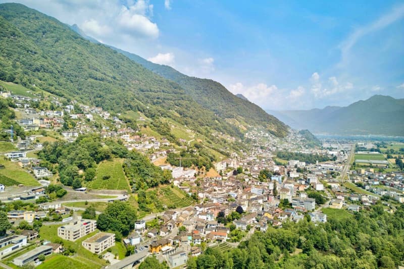 Gepflegte 3.5 Zimmer-Ferienwohnung am Lago Maggiore in Tenero (25)