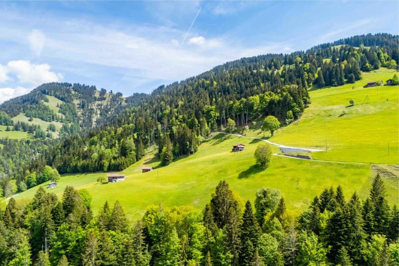 4.5 Zimmer Ferienwohnung mitten im Ski- und Wandergebiet Grüsch-Danusa (33)