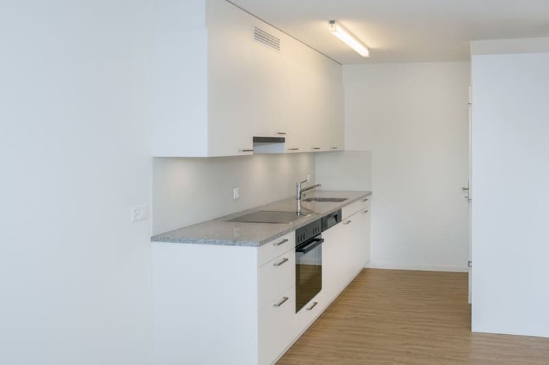 Attraktive 3.5-Zimmerwohnung - frisch renoviert (2)