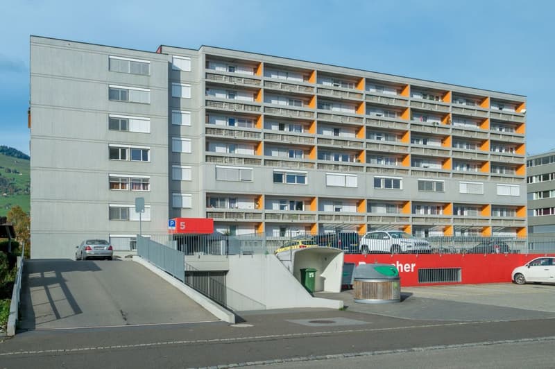 MFH Brunnenstrasse 5