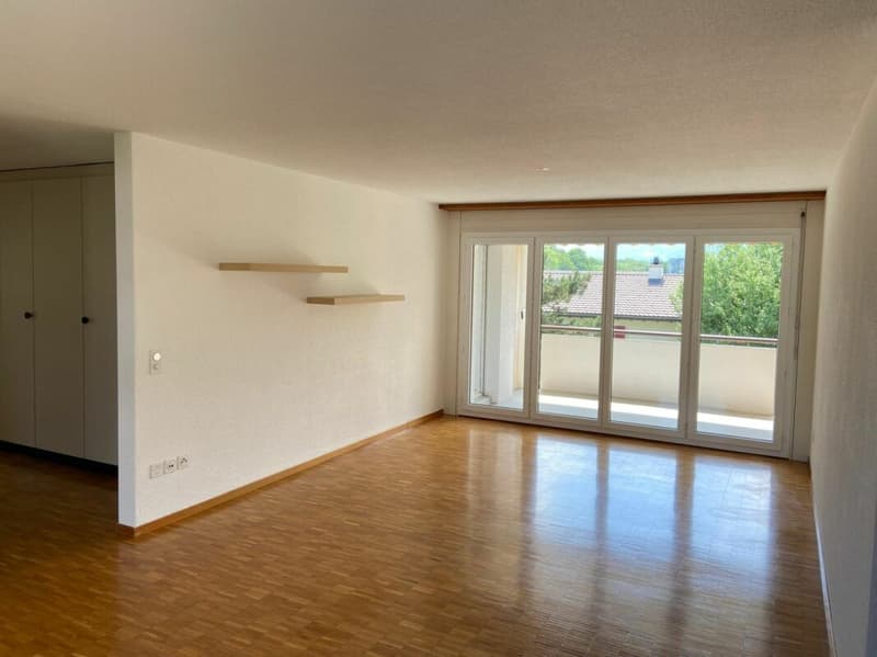 4.5-Zimmerwohnung an ruhiger und sonniger Lage (3)
