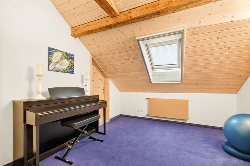 Zimmer DG