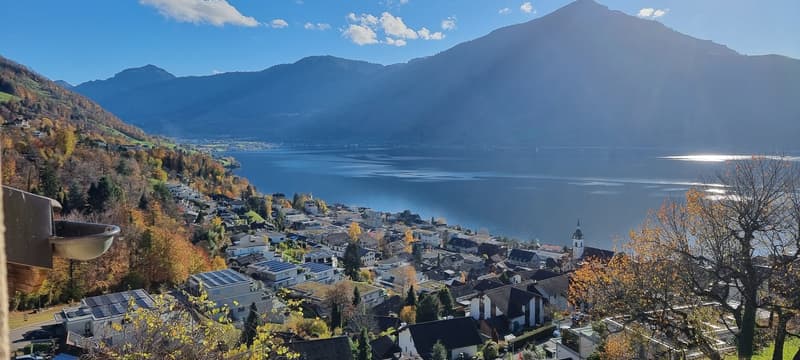 Town near a lake and mountains, many houses with rooftops, one house with solar panels, a church, lots of trees