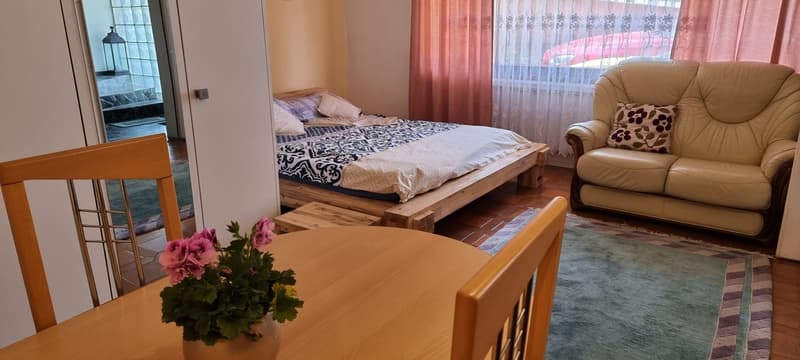 Gemütliches 1-Zimmer-Studio im Erdgeschoss in Kreuzlingen (1)