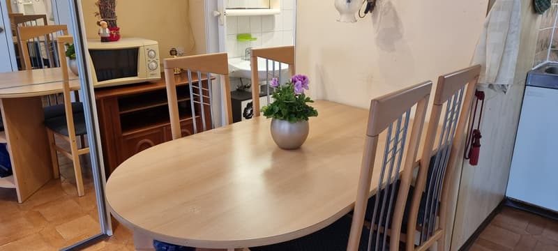 Gemütliches 1-Zimmer-Studio im Erdgeschoss in Kreuzlingen (2)