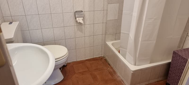 Gemütliches 1-Zimmer-Studio im Erdgeschoss in Kreuzlingen (3)
