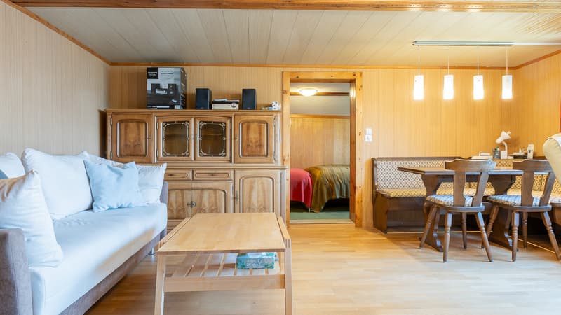 Appartamento di 5 locali confortevole con vista spettacolare (4)