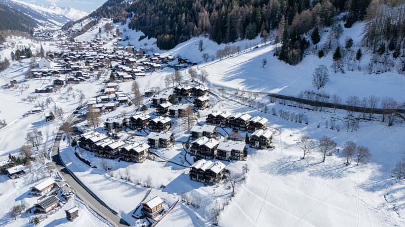 Appartamento accogliente di 3,5 locali con una vista meravigliosa sulle montagne vallesane (9)