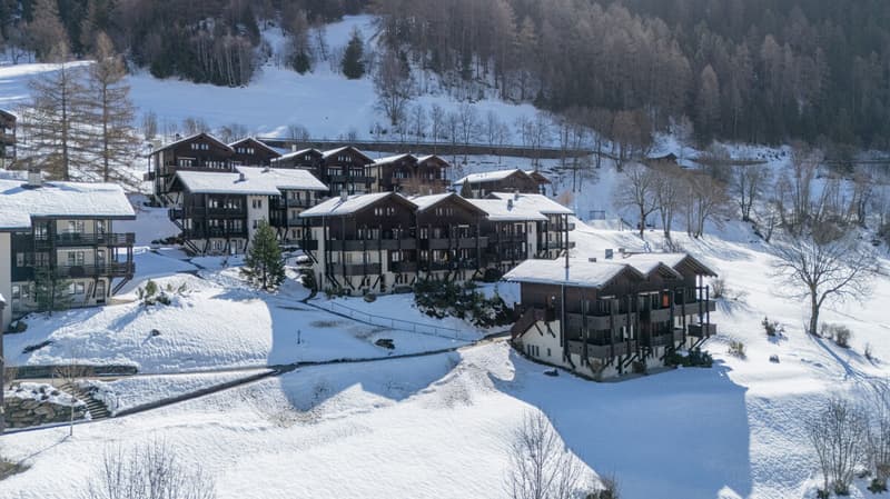 Appartamento accogliente di 3,5 locali con una vista meravigliosa sulle montagne vallesane (8)