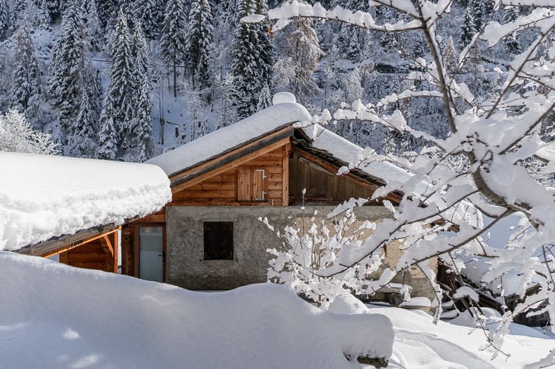 A Jewel for Nature Lovers in Albinen (4)