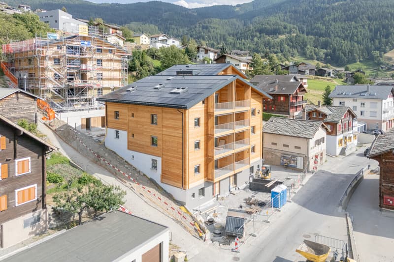 5.5-Zimmerwohnung zur Miete (Erstbezug): Neubau Hasol im Zentrum von B (9)