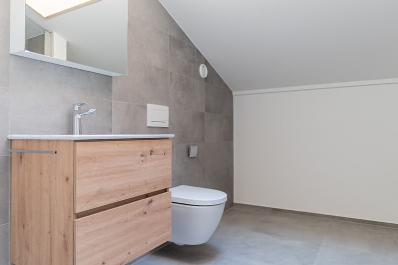 5.5-Zimmerwohnung zur Miete (Erstbezug): Neubau Hasol im Zentrum von B (8)