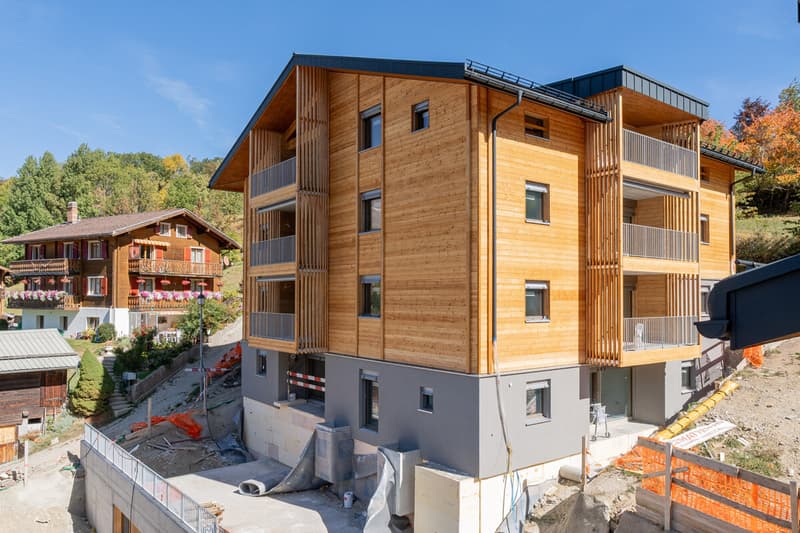 Sonnige Dachwohnung (3.5-Zimmer) als Zweitwohnsitz im Neubau Hasol (13)