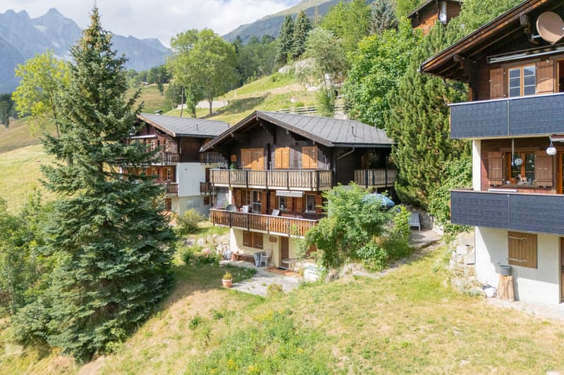 3.5-Zimmerwohnung im Chalet Aux Etoiles in Bellwald (1)