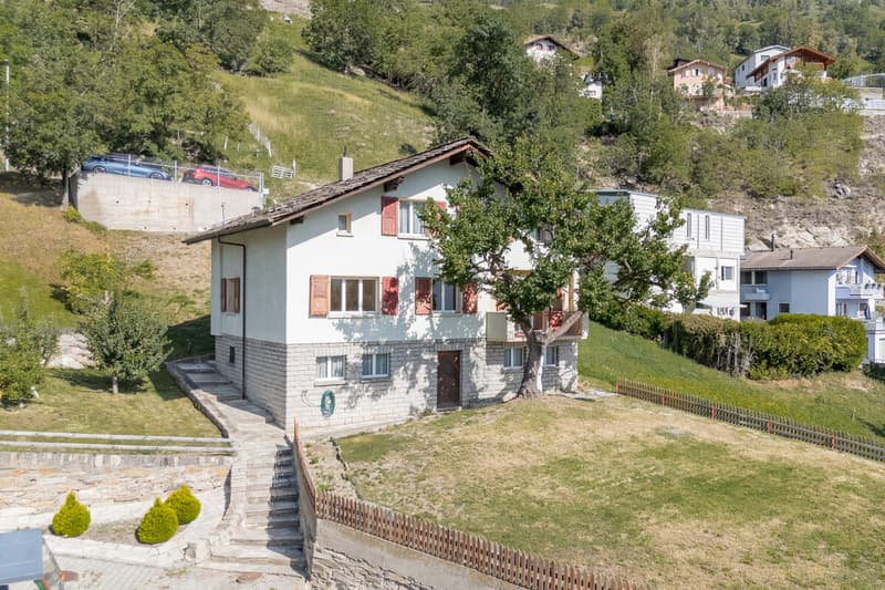 Gepflegtes Einfamilienhaus mit Einliegerwohnung und viel Potenzial (2)