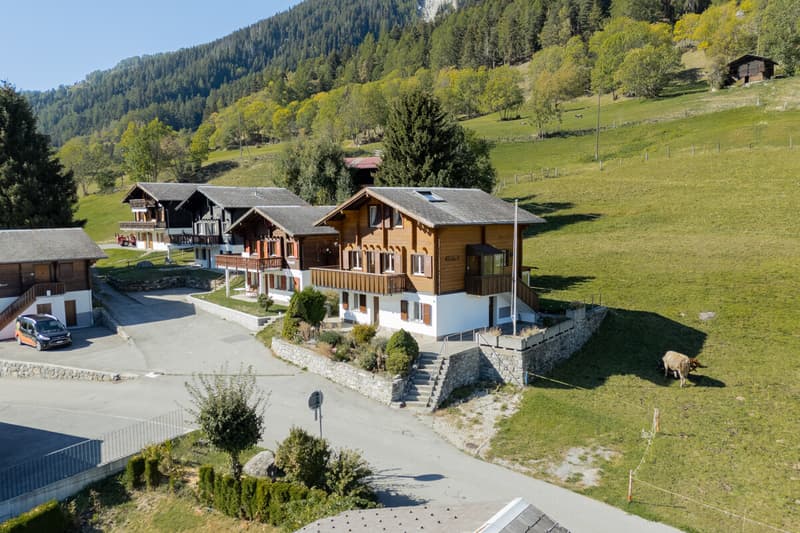 Chalet mit zwei Wohnungen oberhalb von Fiesch (1)