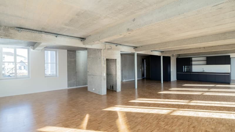 146m2 Loft dans la Bruggmühle (3)