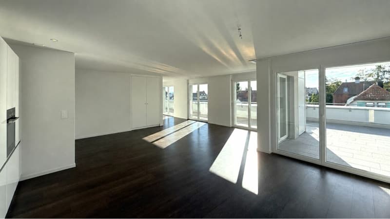 Appartamento città in attico, spazioso e soleggiato (3)