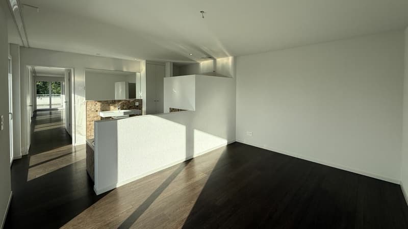 Appartamento città in attico, spazioso e soleggiato (4)
