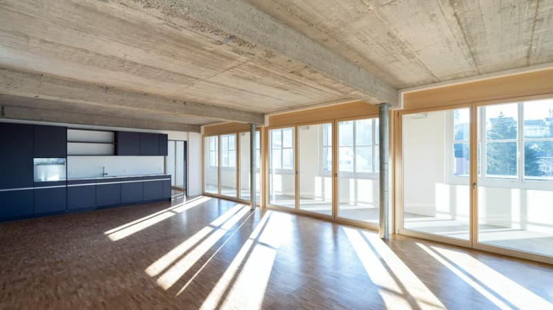 146m2 Loft in der Bruggmühle (3)