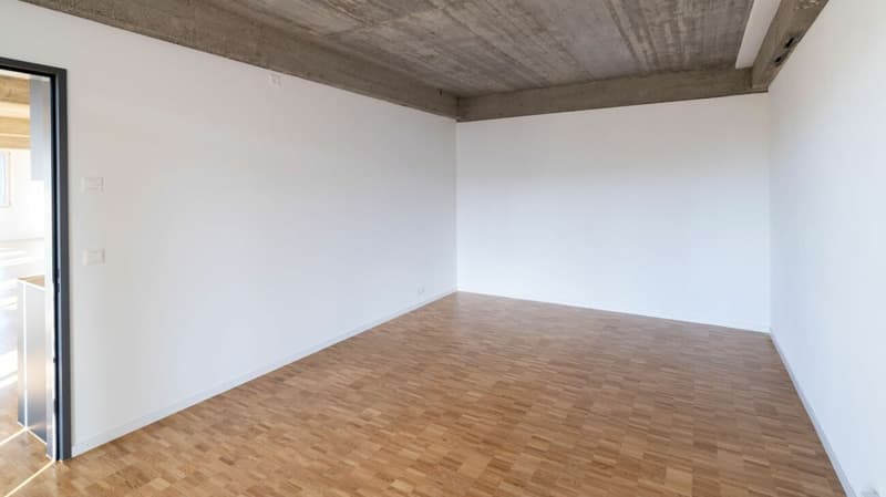 146m2 Loft in der Bruggmühle (7)