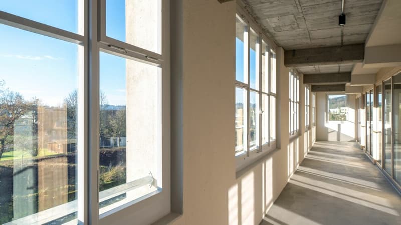 146m2 Loft in der Bruggmühle (6)