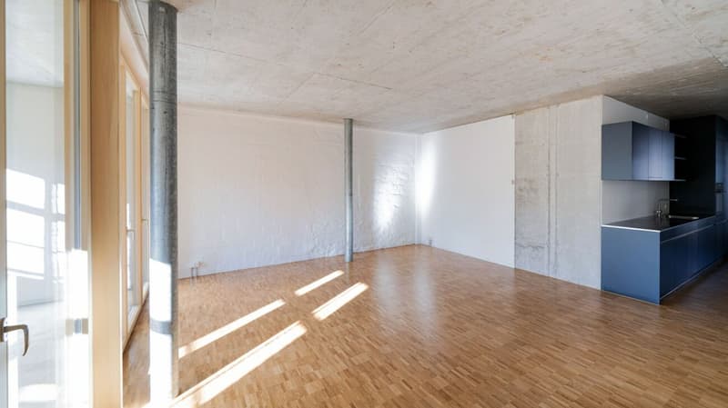 100m2 Loft in der Bruggmühle (2)