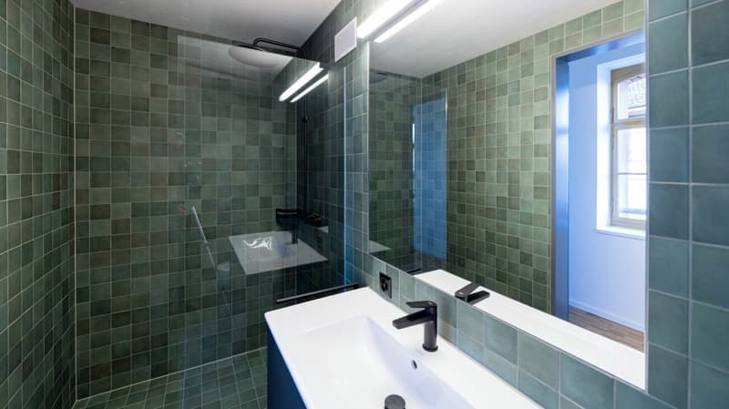 Überhohe Loft (100m2) in der Bruggmühle (5)