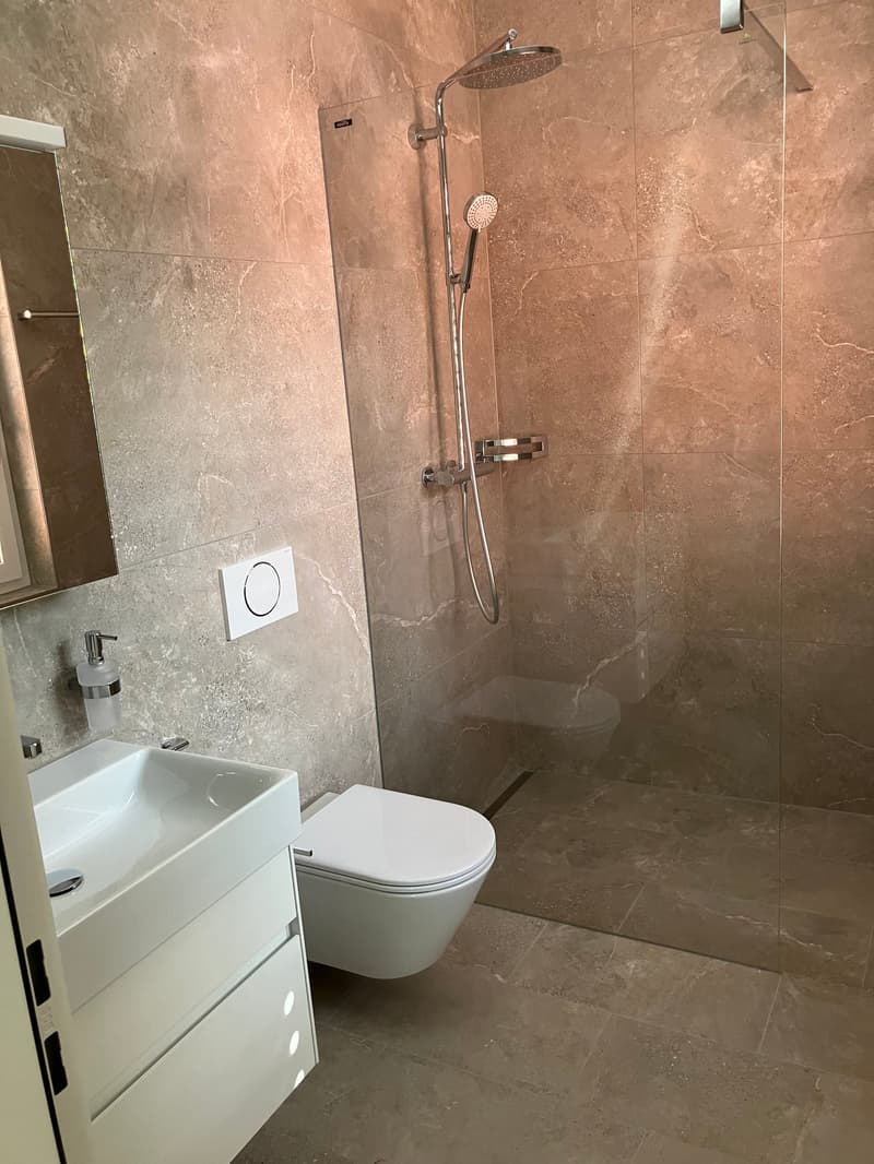 Letzte  2.5-Zimmer-Attika -Wohnung mit Bergblick in Waldenburg (3)