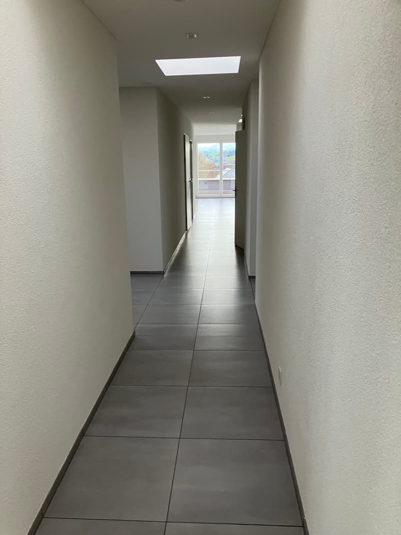 Grosszügige 7.5-Zimmer-Attikawohnung mit Panoramablick in Auw (5)