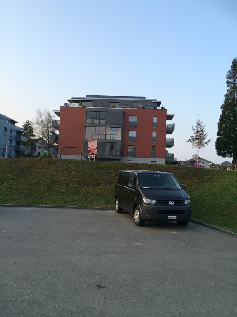 Grosszügige 7.5-Zimmer-Attikawohnung mit Panoramablick in Auw (2)