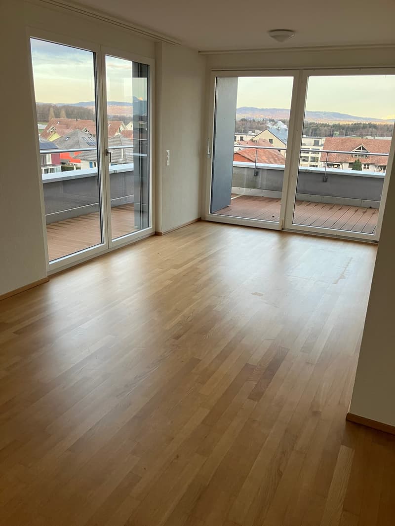 Grosszügige 7.5-Zimmer-Attikawohnung mit Panoramablick in Auw (10)
