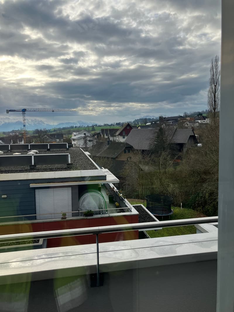 Grosszügige 7.5-Zimmer-Attikawohnung mit Panoramablick in Auw (6)