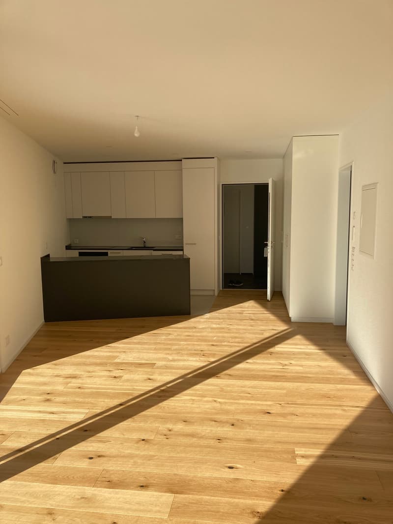 Letzte 2.5-Zimmer-Attika -Wohnung mit Bergblick in Waldenburg (2)