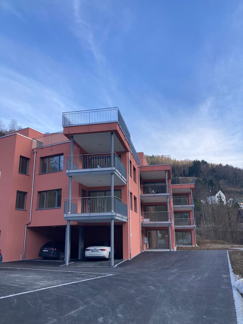 Moderne 3.5-Zimmer-Wohnung in Waldenburg - Neubau mit Komfort (1)