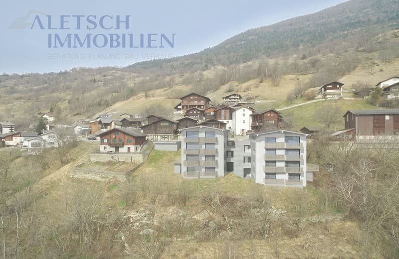 À vendre, appartement 5.5 pièces à Ausserberg / VS (5)