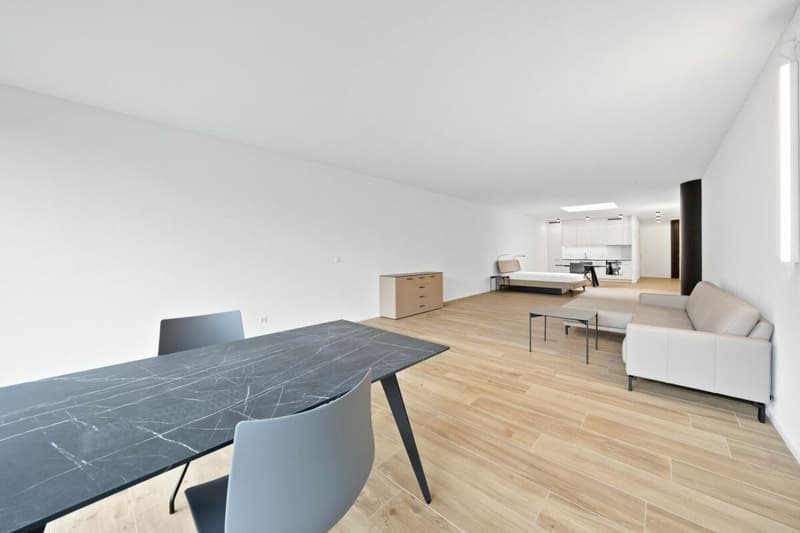 Loft-Atelier möbliert mit 87 m² im 1. Obergeschoss (2)