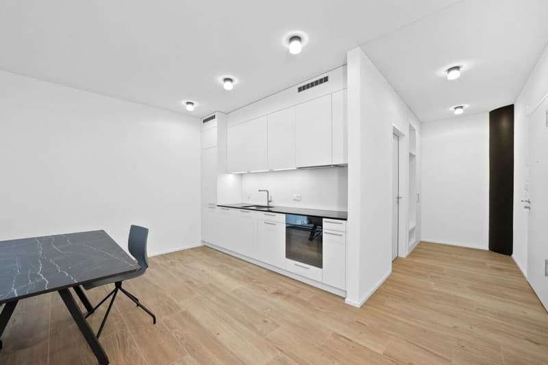 Loft studio furnished with 87 m² on the 1st floor (3)