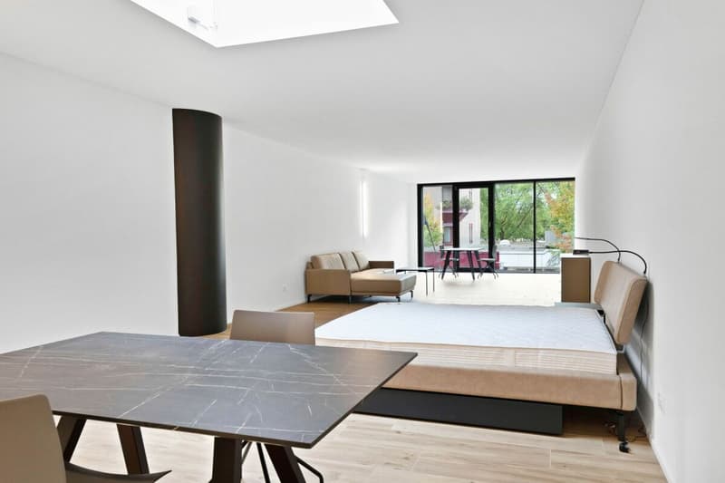 Loft studio furnished with 87 m² on the 1st floor (4)
